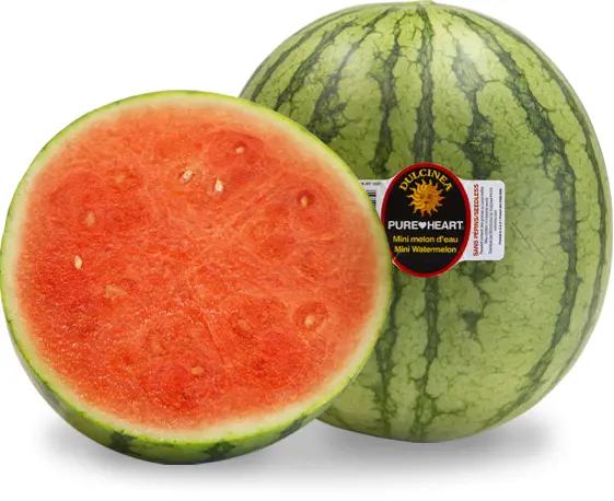 Pureheart Mini Seedless Watermelon