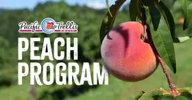 Pacifictreillis Peachprogram 040626