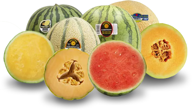 Ourfruit Melons