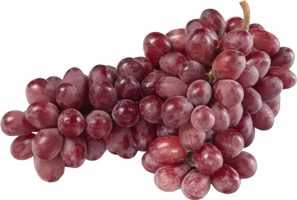 Home Fruit Grapes V2