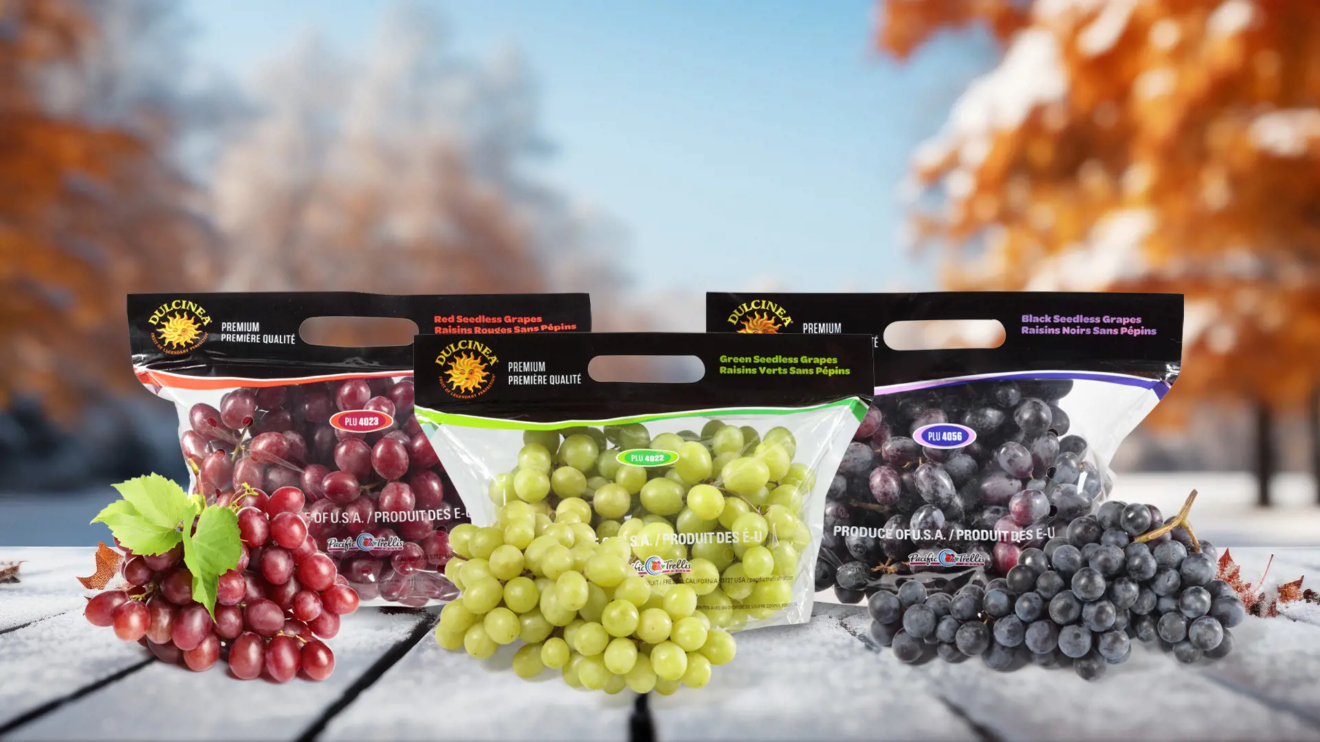 Home Rotator Feature Grapes Winter
