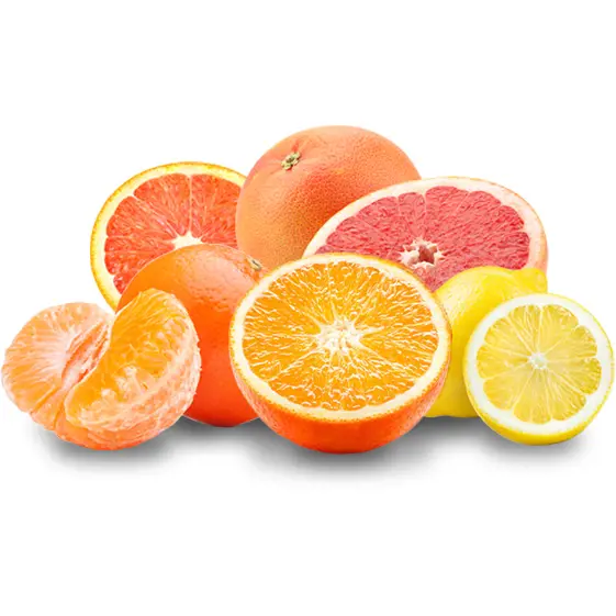 Our Fruit Citrus Square V2