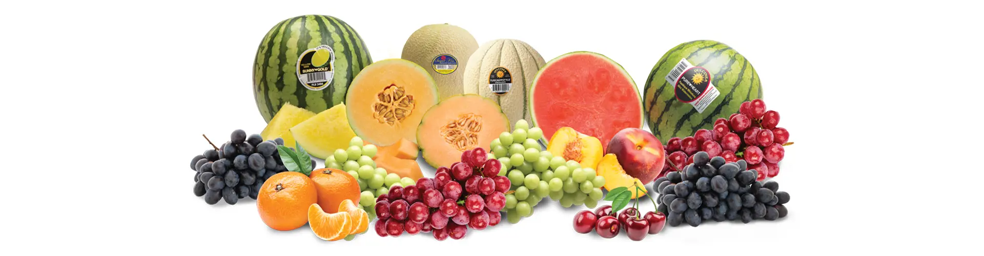 Banner Fruit