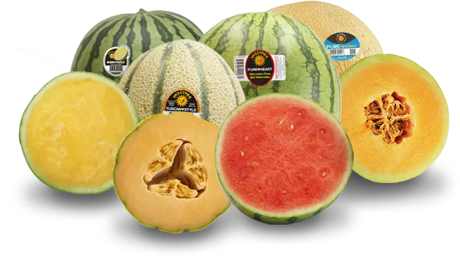 Ourfruit Melons 3