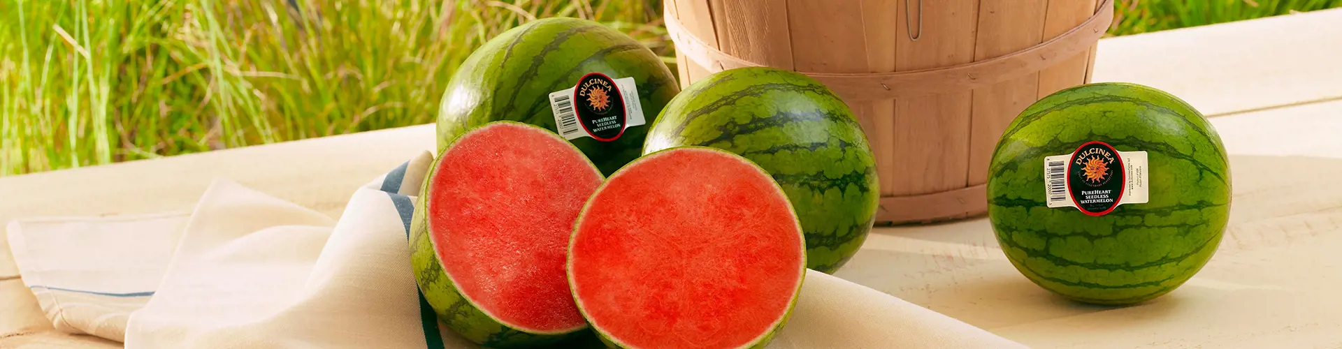 Banner Melons