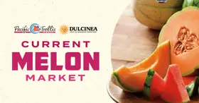 Pacific Trellis Melon Market 4 11 22
