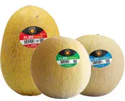 PURE Melons Timeline