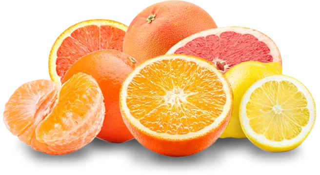 Ourfruit Citrus V2