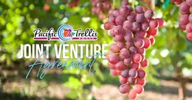 Pacifictrellis Jointventure 060225