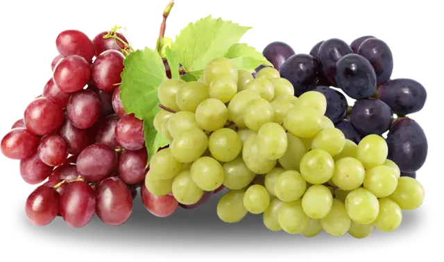 Ourfruit Grapes