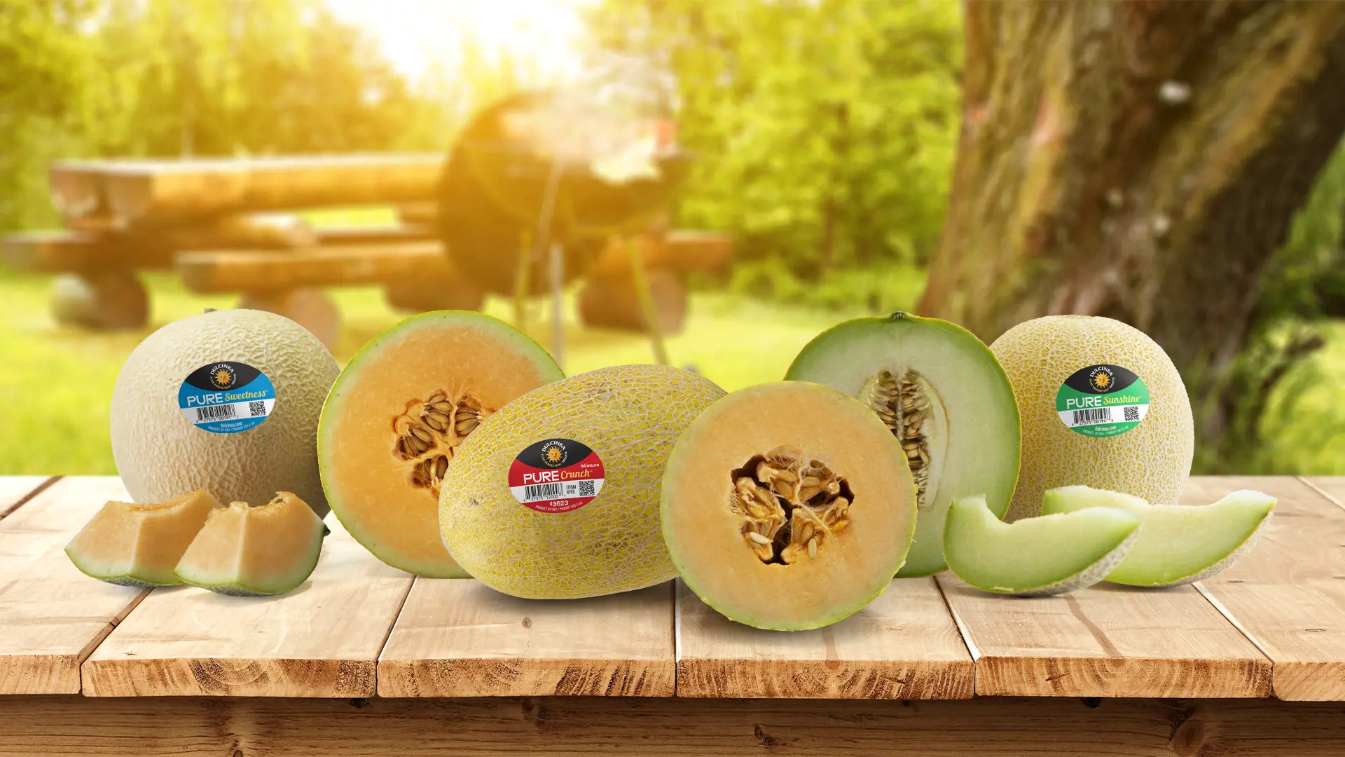 Home Rotator PURE Melons